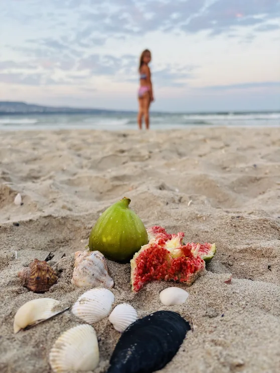 Muscheln und aufgebrochene Feigen im Sand, im Hintergrund ein Kind am Wasser